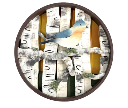 Bird Shadow Box Kit