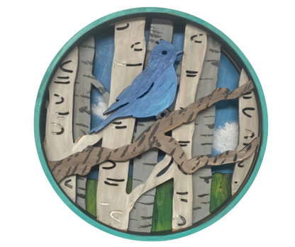 Bird Shadow Box Kit