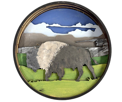 Bison Shadow Box Kit