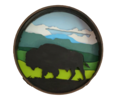 Bison Shadow Box Kit