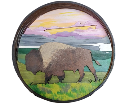 Bison Shadow Box Kit