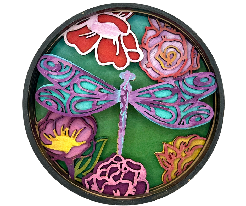 Dragonfly Shadow Box Kit