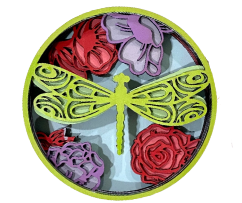Dragonfly Shadow Box Kit