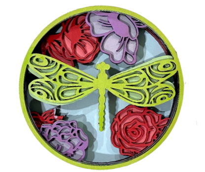 Dragonfly Shadow Box Kit