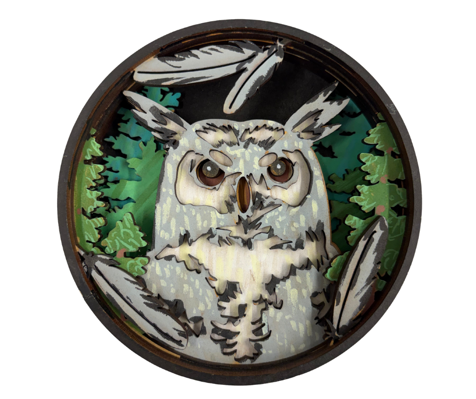 Enchanted Wisdom Shadow Box Kit