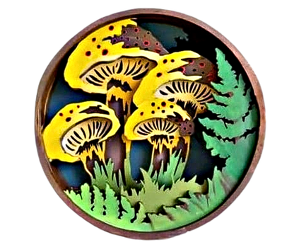 Fungi Shadow Box Kit