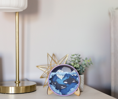 Orca Shadow Box Kit