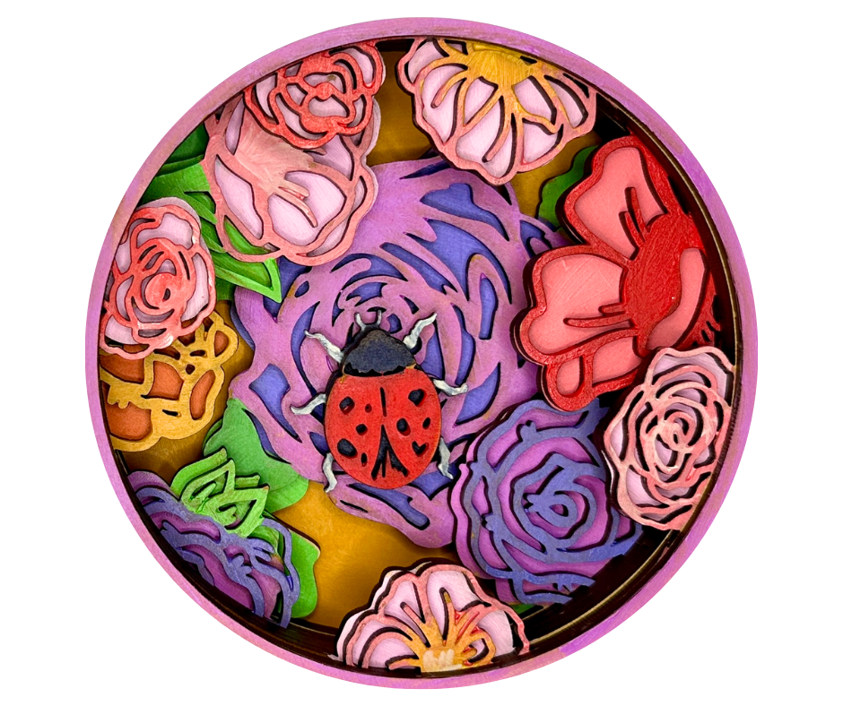 Sweet Ladybug Shadow Box Kit