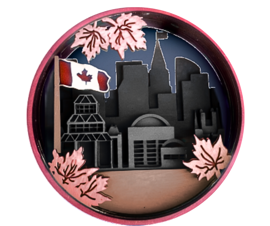 Ottawa Bound Shadow Box