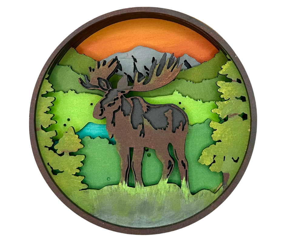 Majestic Wanderer Shadow Box Kit