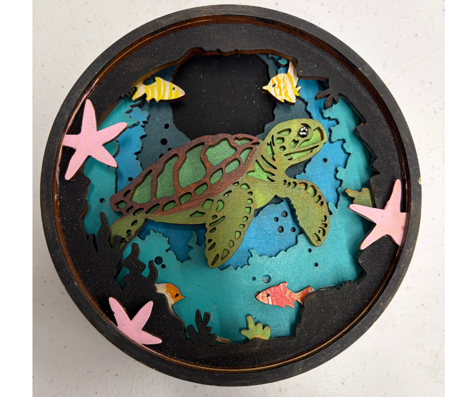 Turtally Awesome Shadow Box Kit