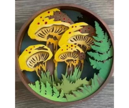 Fungi Shadow Box Kit