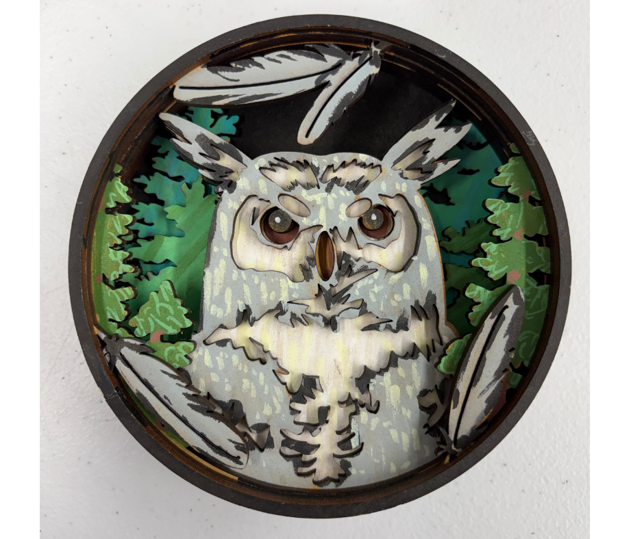Enchanted Wisdom Shadow Box Kit