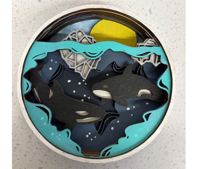 Orca Shadow Box Kit