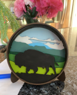 Bison Shadow Box Kit